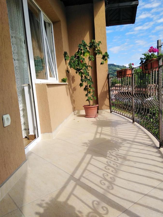 Casa Diana-Maria Apartman Árgyasudvarhely Kültér fotó