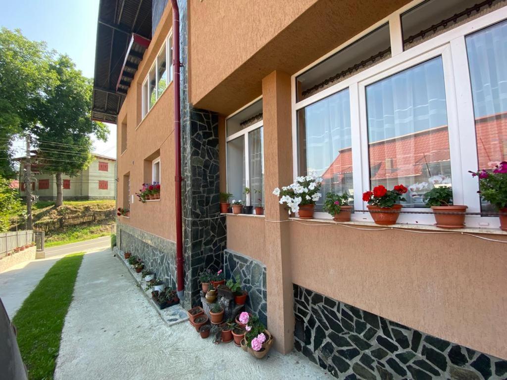 Casa Diana-Maria Apartman Árgyasudvarhely Kültér fotó