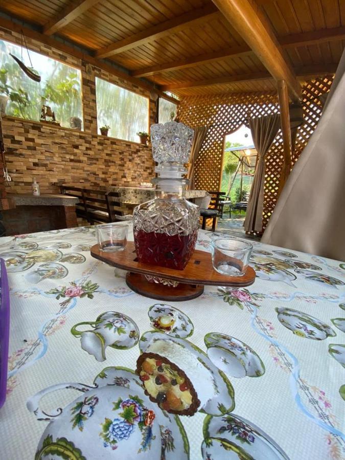 Casa Diana-Maria Apartman Árgyasudvarhely Kültér fotó