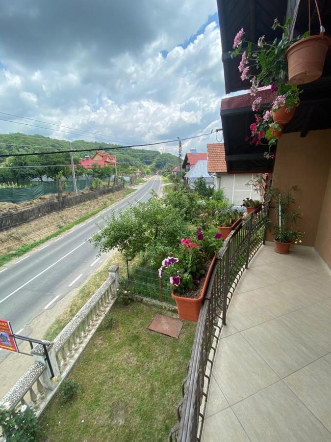 Casa Diana-Maria Apartman Árgyasudvarhely Kültér fotó