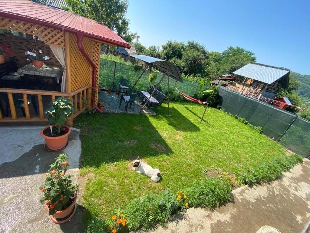 Casa Diana-Maria Apartman Árgyasudvarhely Kültér fotó