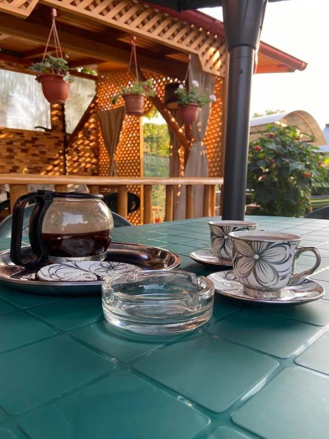 Casa Diana-Maria Apartman Árgyasudvarhely Kültér fotó