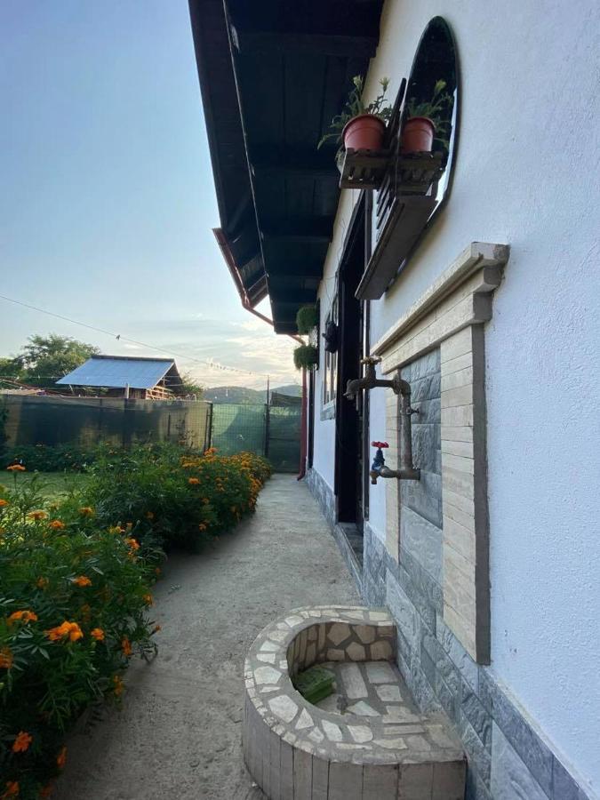 Casa Diana-Maria Apartman Árgyasudvarhely Kültér fotó