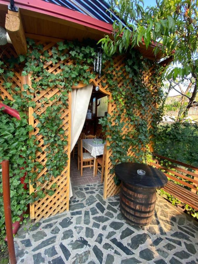 Casa Diana-Maria Apartman Árgyasudvarhely Kültér fotó