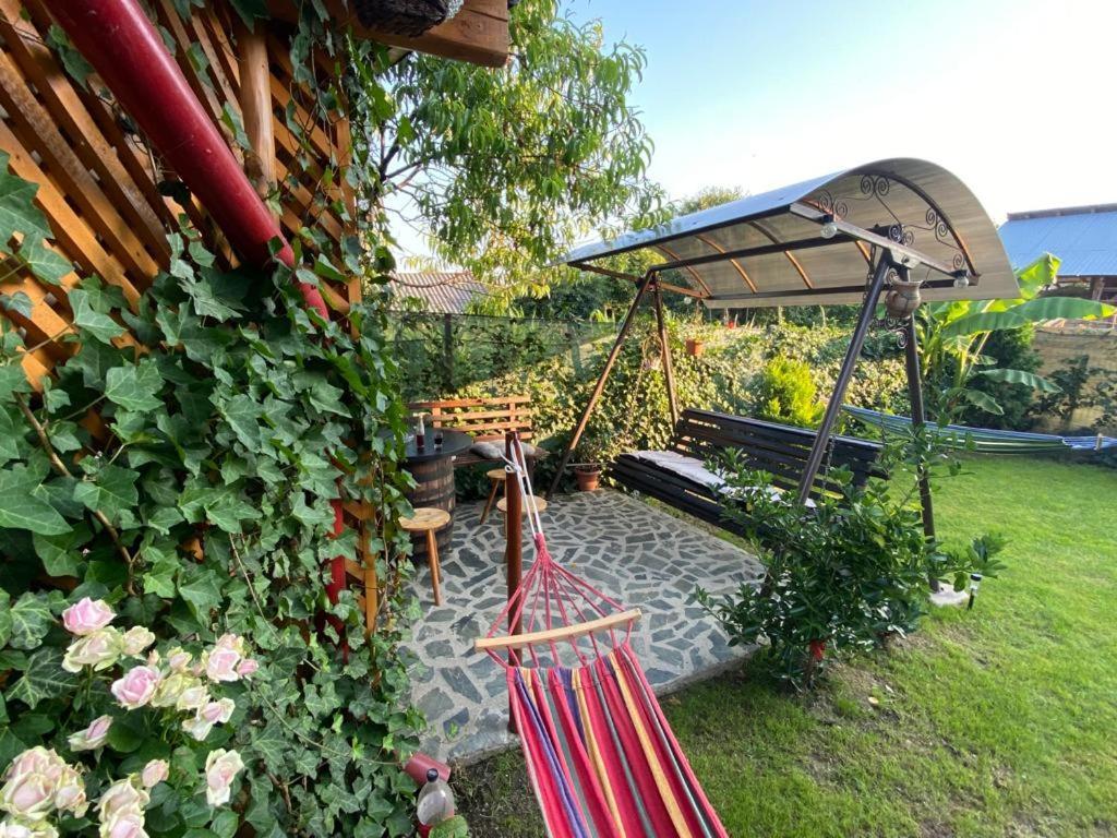 Casa Diana-Maria Apartman Árgyasudvarhely Kültér fotó