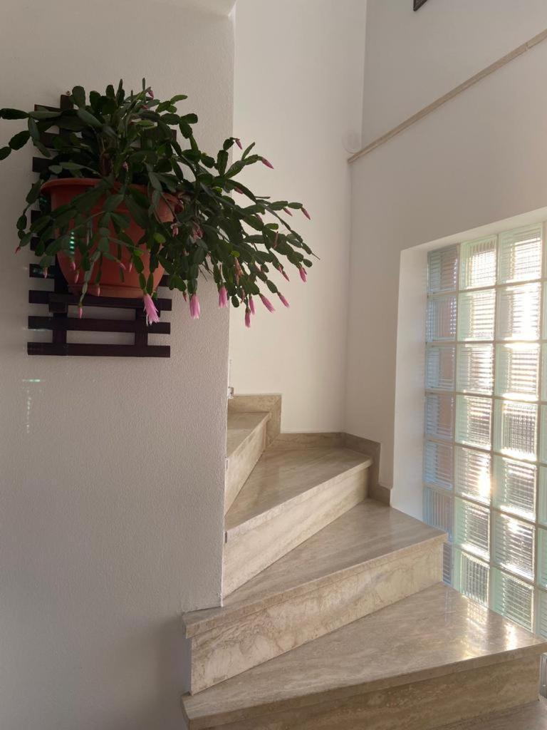 Casa Diana-Maria Apartman Árgyasudvarhely Kültér fotó
