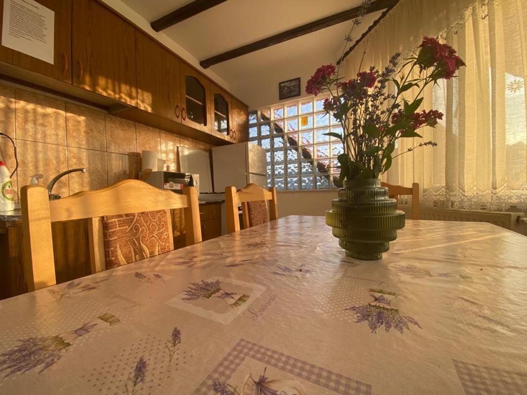 Casa Diana-Maria Apartman Árgyasudvarhely Kültér fotó