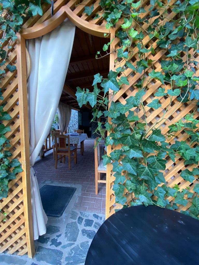 Casa Diana-Maria Apartman Árgyasudvarhely Kültér fotó