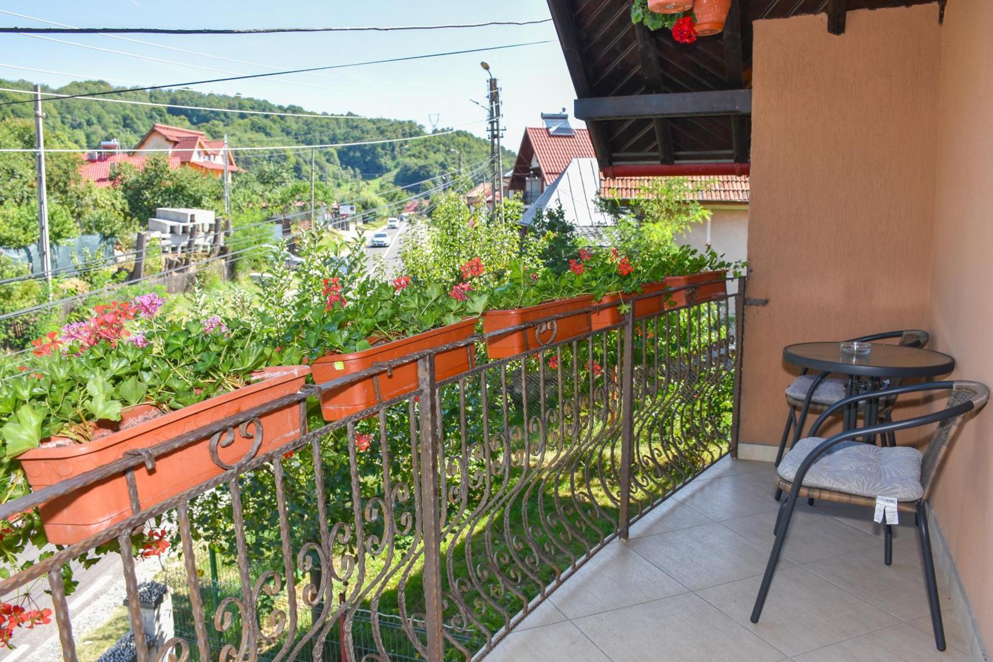 Casa Diana-Maria Apartman Árgyasudvarhely Kültér fotó