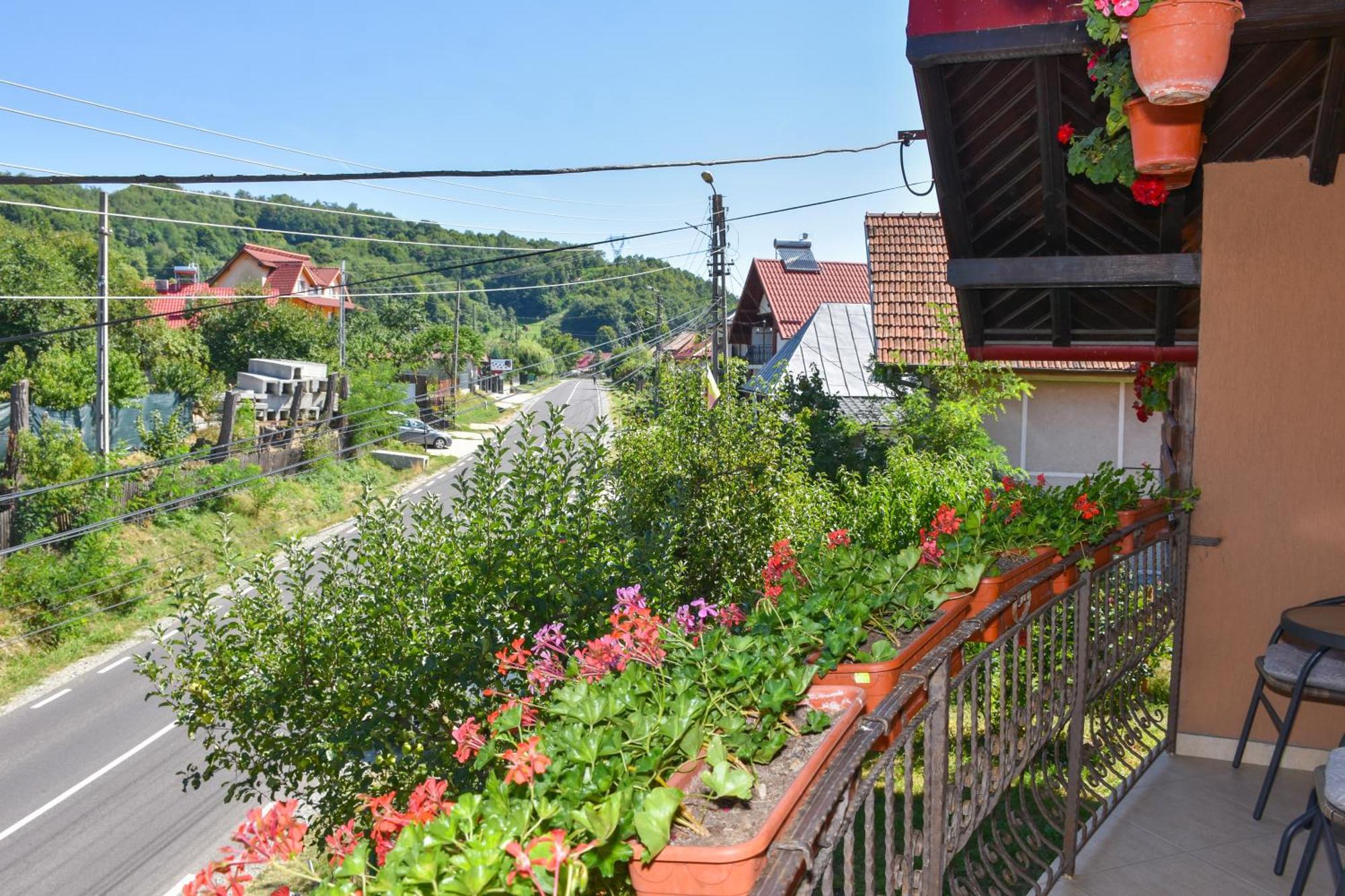 Casa Diana-Maria Apartman Árgyasudvarhely Kültér fotó